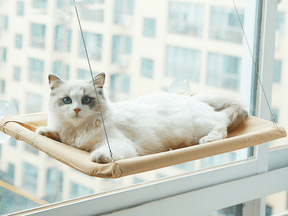 Cama elevada de janelas para Gatos - Sunny Seat - Gadarelo